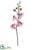 Silk Plants Direct Phalaenopsis Orchid Stem - Lavender - Pack of 12
