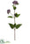Silk Plants Direct Meadow Flower Spray - Lavender - Pack of 24