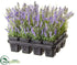 Silk Plants Direct Lavender - Lavender - Pack of 1