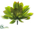 Silk Plants Direct Echeveria Pick - Green Mauve - Pack of 4
