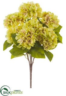 Hydrangea Bush - Green Mauve - Pack of 12