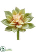 Silk Plants Direct Echeveria Pick - Green Mauve - Pack of 24