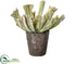 Silk Plants Direct Aeonium - Green Mauve - Pack of 3
