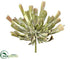 Silk Plants Direct Aeonium Pick - Green Mauve - Pack of 6