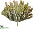 Silk Plants Direct Aeonium Pick - Green Mauve - Pack of 2