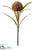 Protea Bud Spray - Toffee - Pack of 12