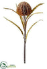 Silk Plants Direct Protea Bud Spray - Toffee - Pack of 12
