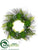 Succulent Garden, Fern Wreath - Green Burgundy - Pack of 1
