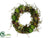 Succulent Wreath - Green Burgundy - Pack of 2