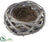 Bird's Nest - Whitewashed - Pack of 12