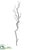 Twig Branch - Brown Whitewashed - Pack of 6