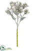 Silk Plants Direct Sedum Pick - Green Whitewashed - Pack of 36