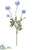 Ranunculus Spray Ice - Blue Baby - Pack of 6
