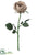 Garden Cabbage Rose Spray - Gray - Pack of 6