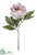 Peony Spray - Gray - Pack of 12