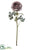 Hybrid Ranunculus Spray - Gray - Pack of 6