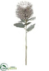 Silk Plants Direct Protea Spray - Gray - Pack of 12