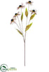 Silk Plants Direct Daisy Spray - Brown Gray - Pack of 12