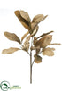 Silk Plants Direct Magnolia Spray - Cream Gray - Pack of 12