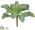 Silk Plants Direct Sedum Plant - Plum Green - Pack of 12