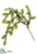Norway Spruce Hanging Spray With Pine Cone - Green Gray - Pack of 8