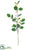 Eucalyptus Spray - Green Gray - Pack of 12