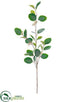 Silk Plants Direct Eucalyptus Spray - Green Gray - Pack of 12