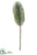Long Needle Pine Spray - Green Gray - Pack of 12