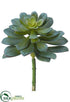 Silk Plants Direct Echeveria Pick - Green Gray - Pack of 6