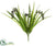 Silk Plants Direct Succulent, Grass Bush - Green Gray - Pack of 24