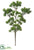 Silk Plants Direct Ming Pine Spray - Green Gray - Pack of 24