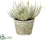 Silk Plants Direct Senecio - Green Gray - Pack of 6