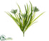 Silk Plants Direct Succulent, Grass Bush - Green Gray - Pack of 24