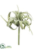 Silk Plants Direct Tillandsia Pick - Green Gray - Pack of 12