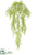 Silk Plants Direct Button Fern Hanging Bush - Green Gray - Pack of 12