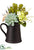 Hydrangea, Succulent - Green Gray - Pack of 2