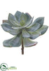 Silk Plants Direct Echeveria Pick - Green Gray - Pack of 12