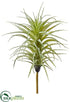 Silk Plants Direct Tillandsia Pick - Green Gray - Pack of 24