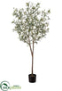 Silk Plants Direct Olive Tree - Green Gray - Pack of 2