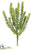 Donkey Tail Pick - Green Gray - Pack of 6