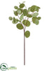 Silk Plants Direct Eucalyptus Leaf Spray - Green Gray - Pack of 12