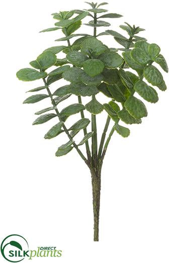 silk jade plant Silk Plants Direct Mini Jade Plant Pick - Green Gray