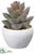 Silk Plants Direct Agave - Green Gray - Pack of 4