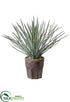 Silk Plants Direct Yucca - Green Gray - Pack of 2