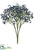 Baby's Breath Bush - Blue Royal - Pack of 24