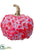 Pumpkin - Tea Berry - Pack of 6