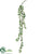 Kalanchoe Spike Hanging Spray - Green - Pack of 12