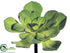 Silk Plants Direct Flocked Echeveria - Moss Green - Pack of 12