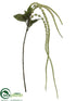 Silk Plants Direct Amaranthus Spray - Cream Green - Pack of 12