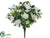 Azalea Bush - White - Pack of 12